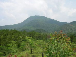 家传秘本地理书