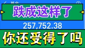 股票国家是什么时候引进的?