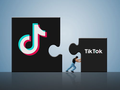tiktok 账号运营_TikTok高效优质视频剪辑及账号快速涨粉