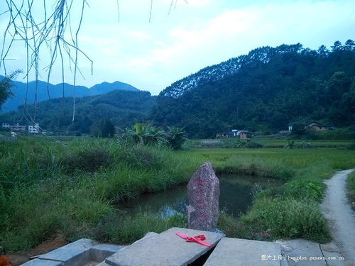 岑溪纪事 山沟热土,竹帚西施是如何挑起重担的 