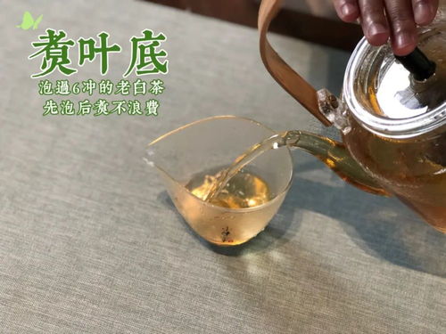 煮茶的茶具叫什么牌子好