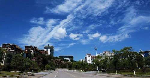 想知道： 龙岩市 福建上杭县九洲硅业有限公司 在哪