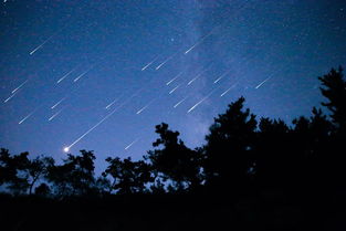 关于今年八月十六日英仙座流星雨