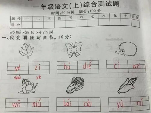 幼儿园为什么不教拼音 算术和写字