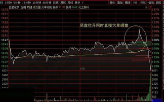 我怎么知道自己的资金帐号里买了那些股票和具体的手数