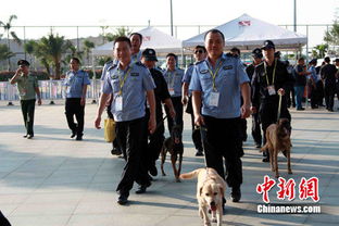 数十警犬护卫中国 东盟博览会 警方揭秘犬只 隐私 