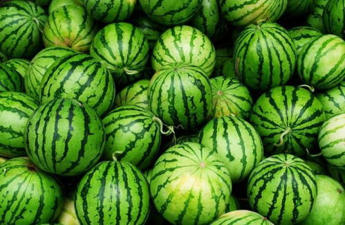 糖尿病人夏天能吃西瓜吗 掌握5个原则,或能适当吃