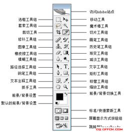 ps基础知识汇总