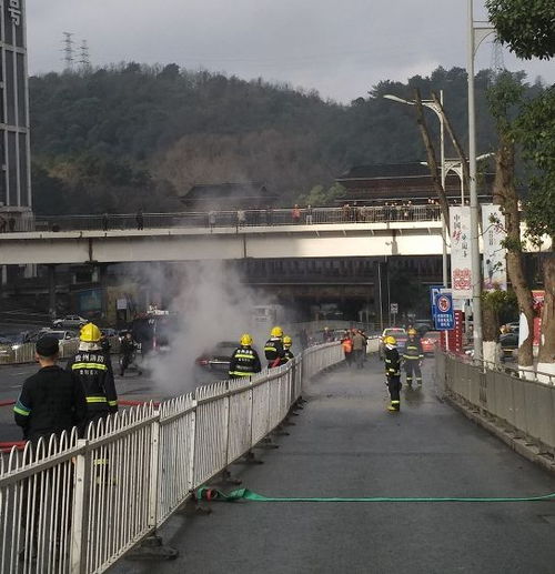 贵阳花果园一期附近哪里停车便宜(花果园v区附近有免费停车场吗)