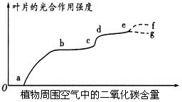 下图表示叶片的光合作用强度与植物周围空气中二氧化碳含量的关系.图示中.ce段是增大了光照强度后测得的曲线.下列有关叙述中.正确的是 A.a点对应的二氧化碳浓度 