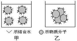 相同质量的花生种子和大豆种子，含水量相同时，谁的自由水含量多？为什么？萌发时，谁的种子吸水多？为什