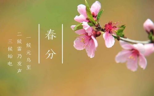 3月20日 生肖运势 周六 农历二月初八 春分节气,看你的属相适合做什么