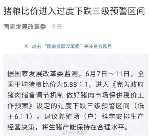 公布分红预案后所长时间能实施