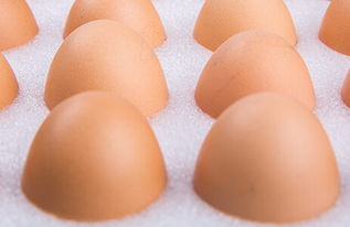 梦见买鹅蛋是什么意思梦到买鹅蛋好不好(梦见买鸡蛋和鹅蛋是什么意思)