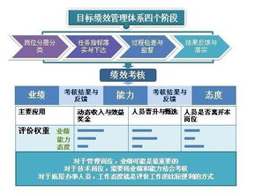 如何有效利用查重反选提升内容质量