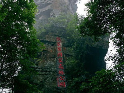 张家界国家森林公园停车场如何收费 (天门山景区停车场收费标准最新)