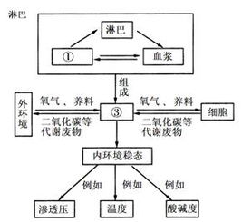 正常人血浆的PH值是多少？