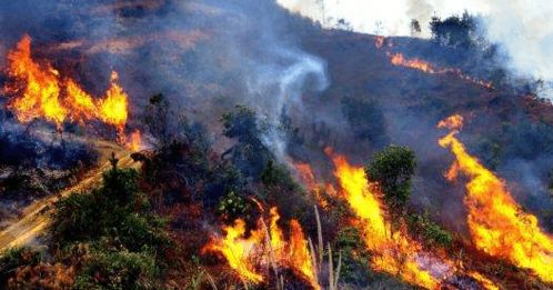 叫天天不应叫地地不灵 致命山火变山洪 美授意 可以找中国帮忙