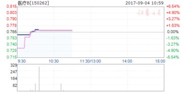 基金医疗B150262 怎么突然涨199%