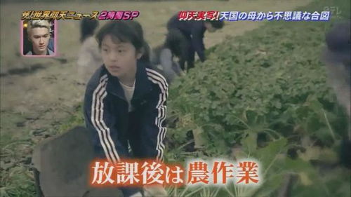 已故妈妈忌日 显灵 ,相隔13年为女儿结婚送上祝福