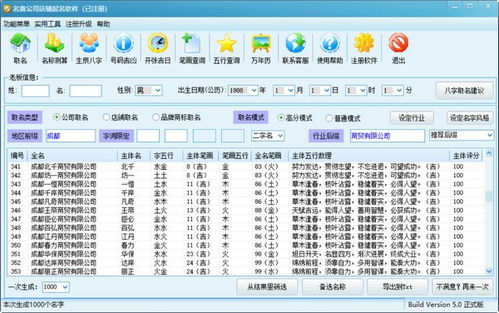 名赛公司起名软件 名赛公司起名软件官方版下载 其他工具 绿软家园 