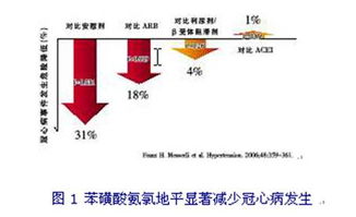 孙宁玲 CLASSIC聚焦 规范治疗 优化方案 建议正确合理使用苯磺酸氨氯地平.365医学网 