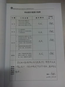 毕业论文,进程,填写