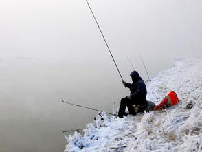 冬季钓鱼要掌握技巧 值得一学
