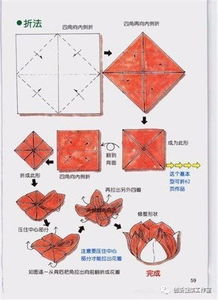 餐厅口布折叠方法大全,餐饮人赶紧收藏 