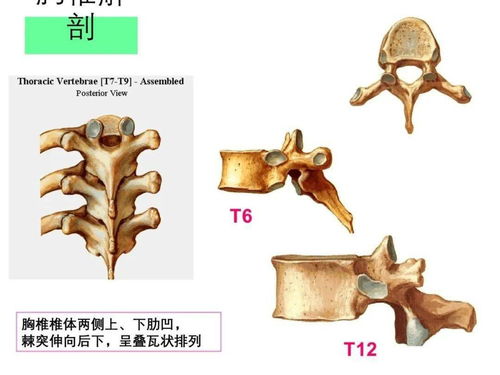 成都推拿按摩培训学校哪家好