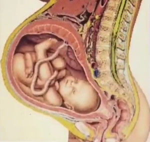 胎儿入盆后多久生 胎儿入盆后多久会生