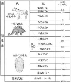 岩石的年龄是怎么测定的 