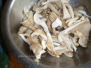 炸蘑菇的做法,炸蘑菇怎么做好吃,炸蘑菇的家常做法 