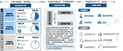 系统查重工具推荐：提高学术研究效率的关键步骤