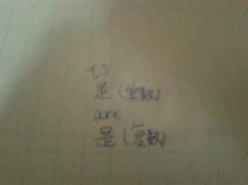 这两个单词的中文意思是什么 