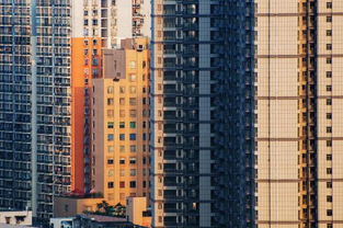 深圳6月一手房均价突破6万 同比涨101