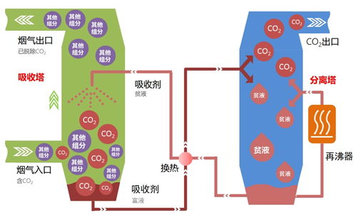 如何利用互联网优化论文查重流程