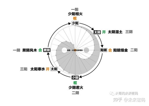 黄帝内经 素问 五运六气推算方法 2021年运气推算 