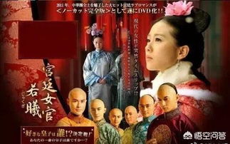 中国的电视剧在日本播出的时候都叫什么名字