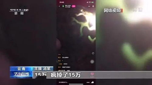 翡翠丨15万翡翠原石砍到6688块,直播原石能捡漏 真相