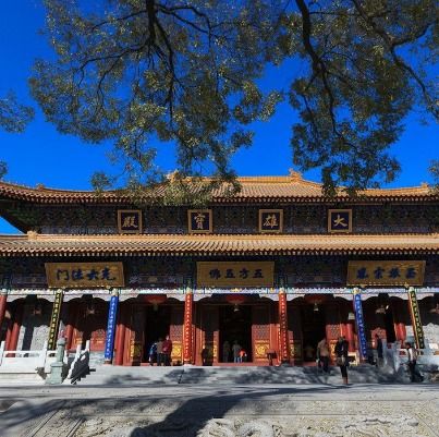 中国十大适合求学的寺院排行榜 求学业去哪个寺庙好 求学拜什么寺庙