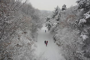 辽宁多地大雪 今年的辽宁怎么到现在还没下雪？ 