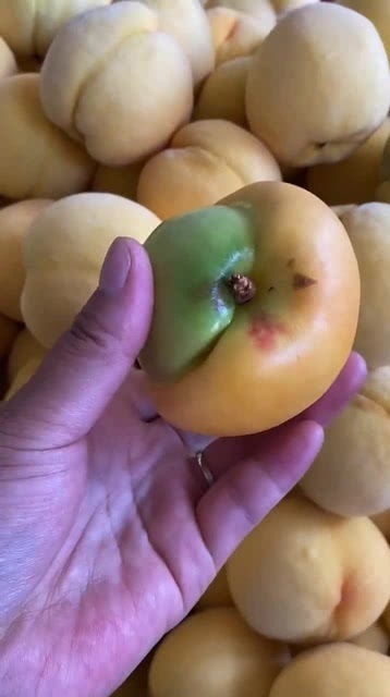 看看,这是苹果爱上了桃吗怎么长这个样子 