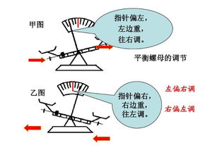托盘天平的认识