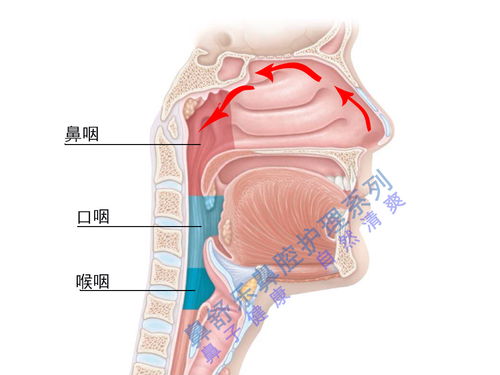 如何区分嗓子哑是进入了变声期还是由咽炎引发 