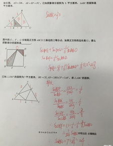 四年级三角形面积公式及画高知识点讲解 信息图文欣赏 信息村 K0w0m Com