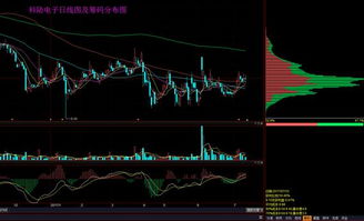 如何看股票分析软件的筹码分布 10日前成本百分几