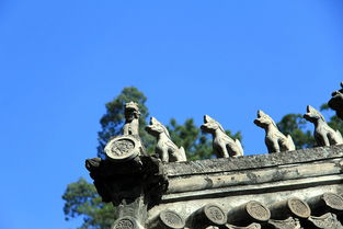 谭拓寺的秋之美景