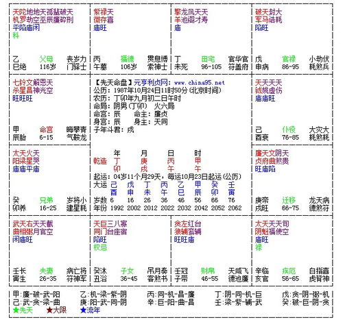 谁会看紫微斗数啊 