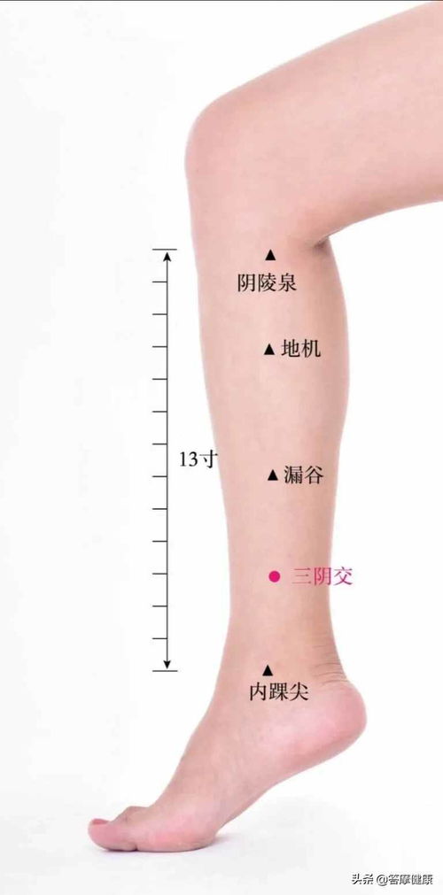 白虎穴 道家灸法 四神灸